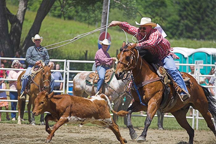Calf Roping at the Ellicottville Rodeo! Photo by Daniel Clune.