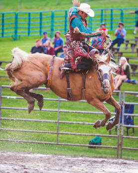 Photo _E3A1809 from the Ellicottville Rodeo