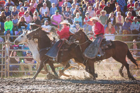 Photo _E3A3834 from the Ellicottville Rodeo