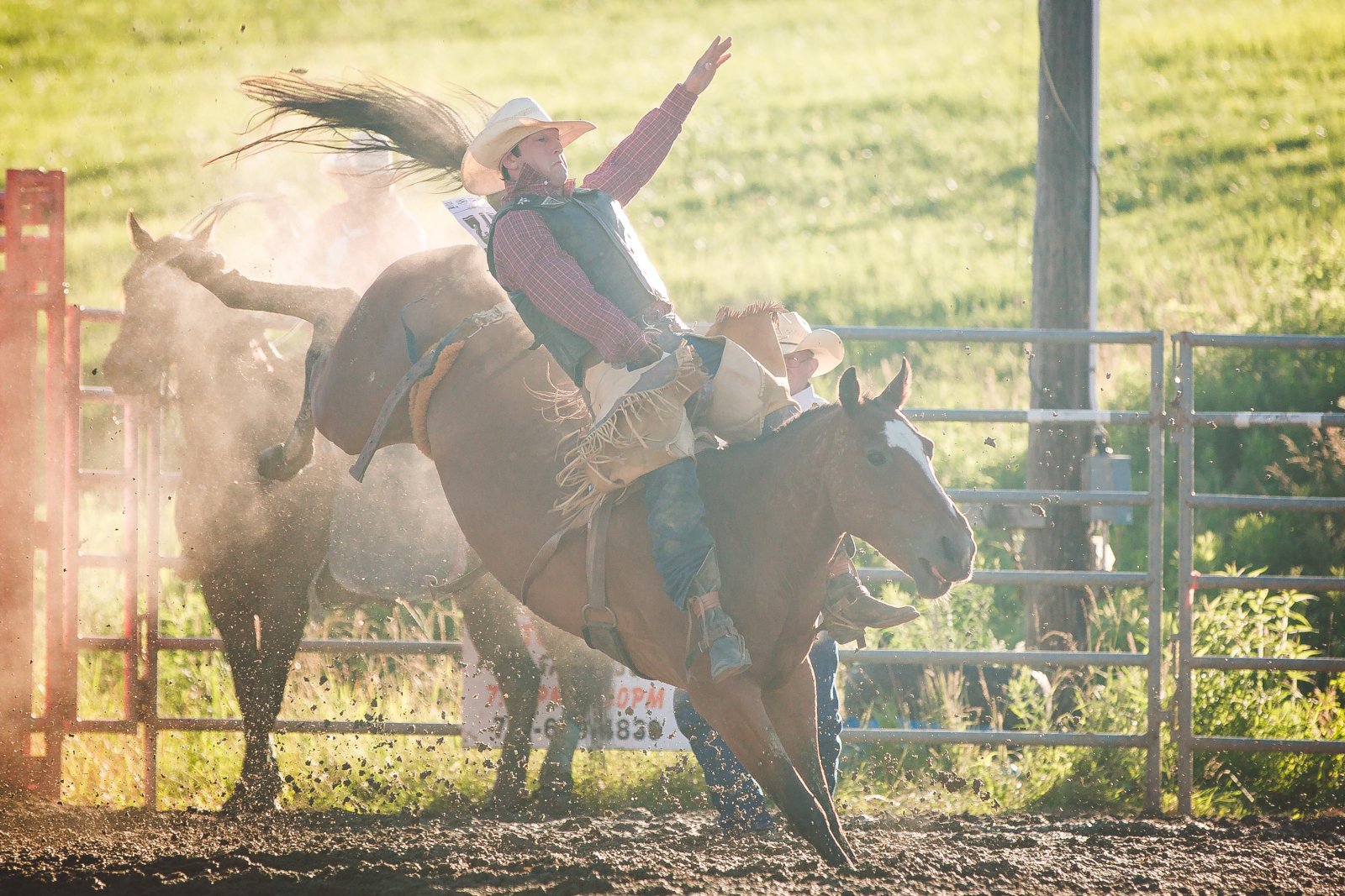 Bareback bronc riding at the Ellicottville Rodeo in July 2018!