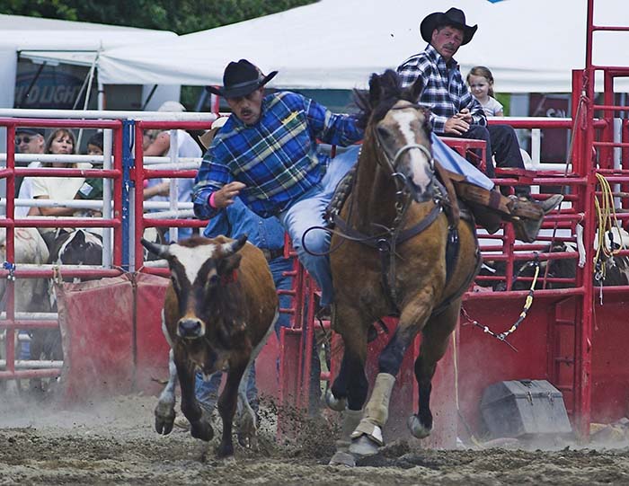 About to dismount onto a steer at the Ellicottville Rodeo! Photo by Daniel Clune