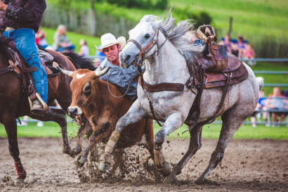 Photo _E3A1124 from the Ellicottville Rodeo