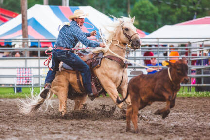 Photo _E3A1438 from the Ellicottville Rodeo