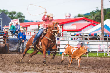 Photo _E3A1521 from the Ellicottville Rodeo