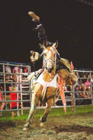 Photo _E3A2426 from the Ellicottville Rodeo