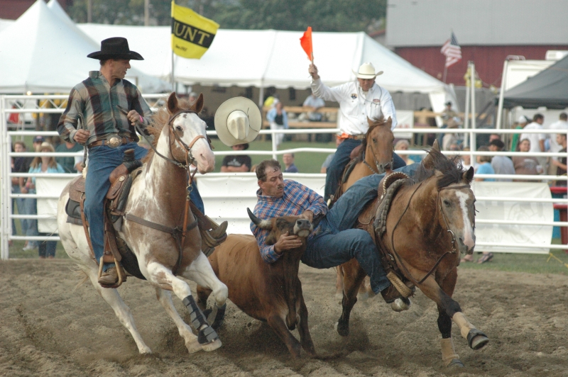 Steer Wrestling at the Ellicottville Championship Rodeo